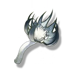 Terraspawn Fungus